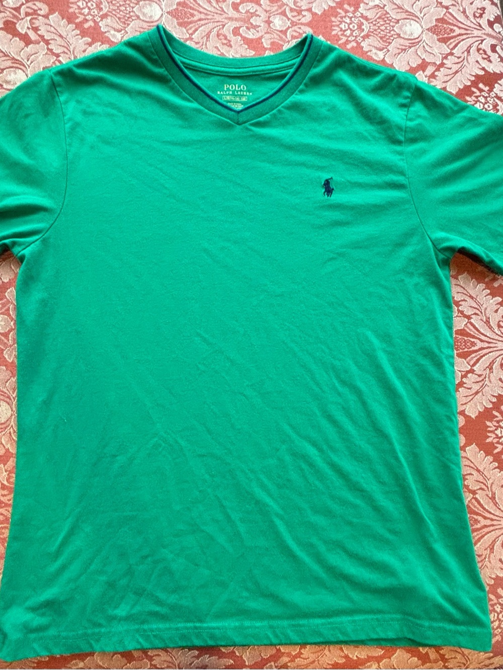 Polo by Ralph Lauren V-Neck Tee in Emerald Green with Navy Logo
